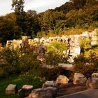 Herbsttag im Wuppertaler Zoo