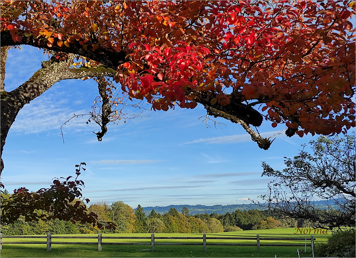  Herbsttag in Allgäu Waldhäusle 