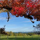  Herbsttag in Allgäu Waldhäusle 