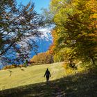 Herbsttag in den Alpen