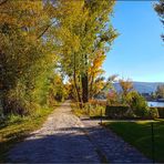 Herbsttag in den Donau-Auen