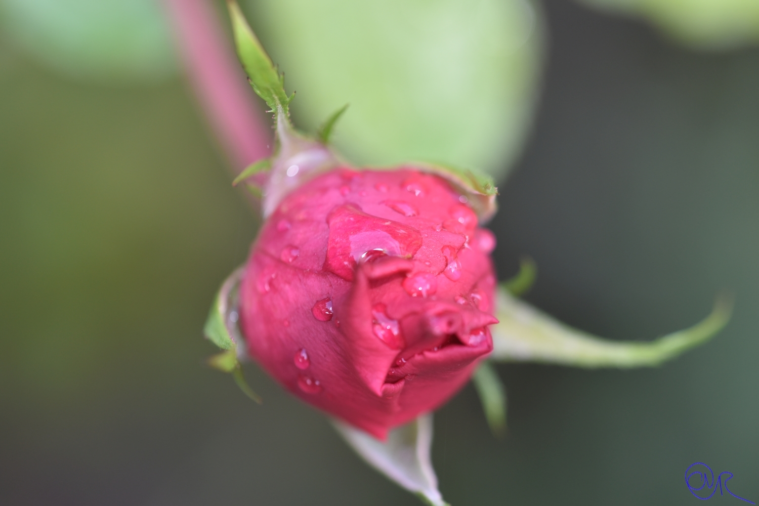 Herbsttag in der Flora