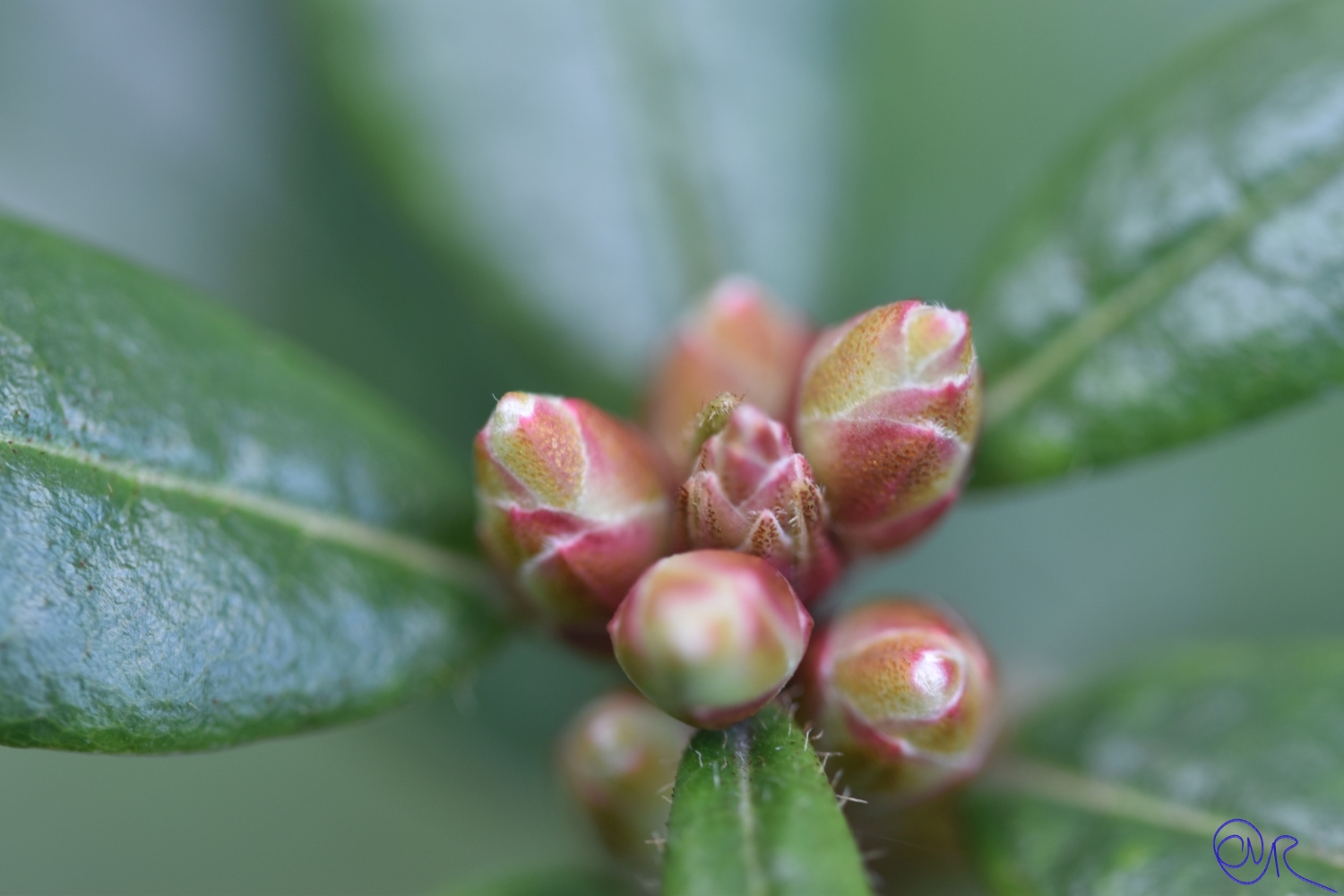 Herbsttag in der Flora