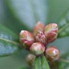 Herbsttag in der Flora