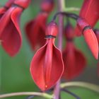 Herbsttag in der Flora