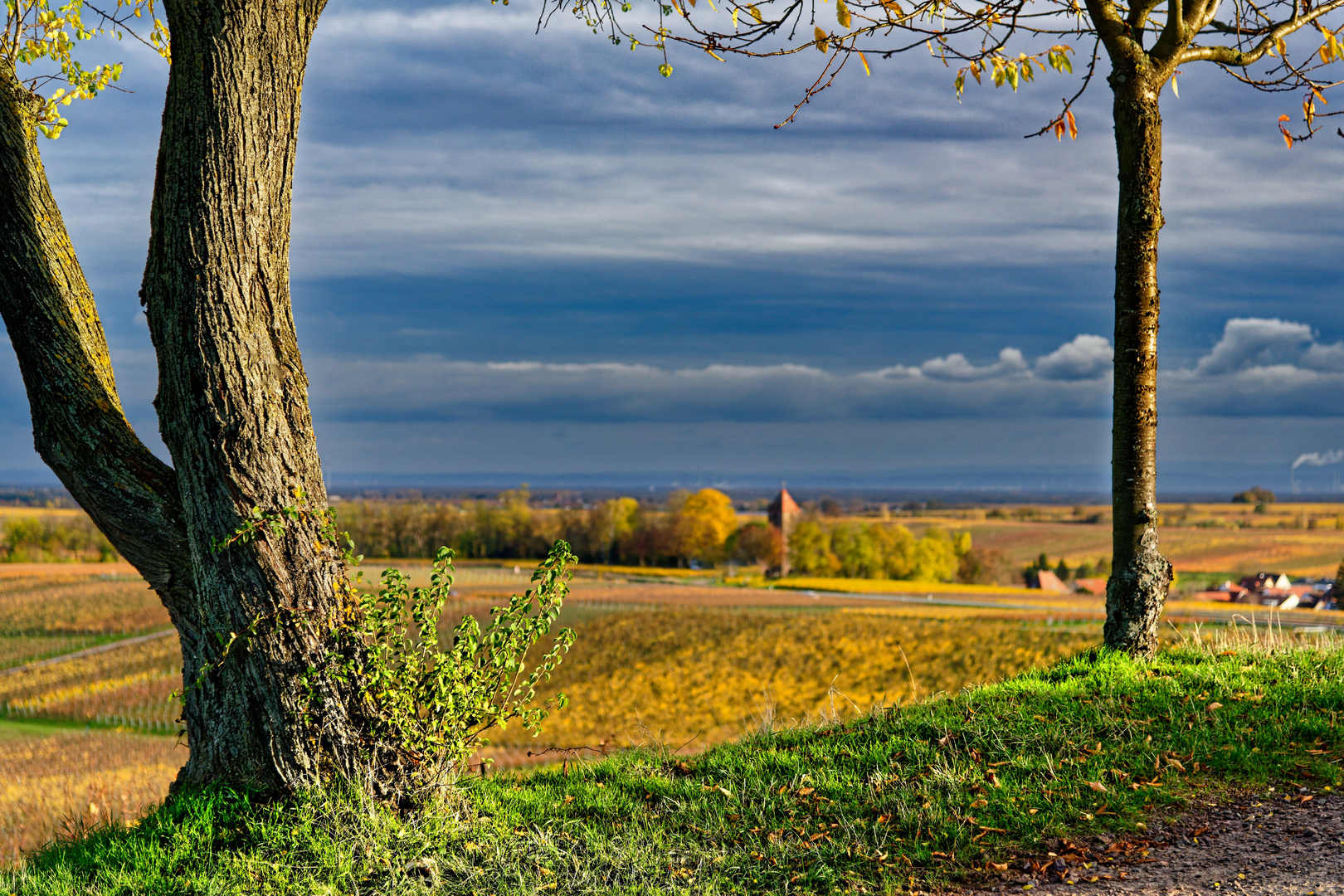 Herbsttag in der Pfalz