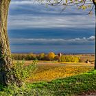 Herbsttag in der Pfalz