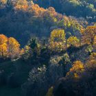 Herbsttag in der Süd-Steiermark