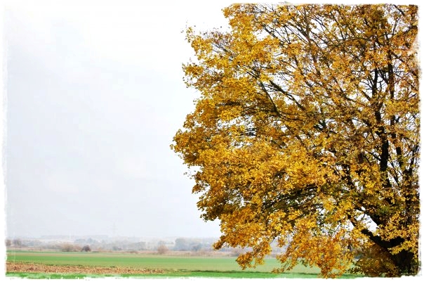 Herbsttag in der Wetterau