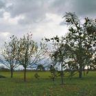 Herbsttag in Göppingen