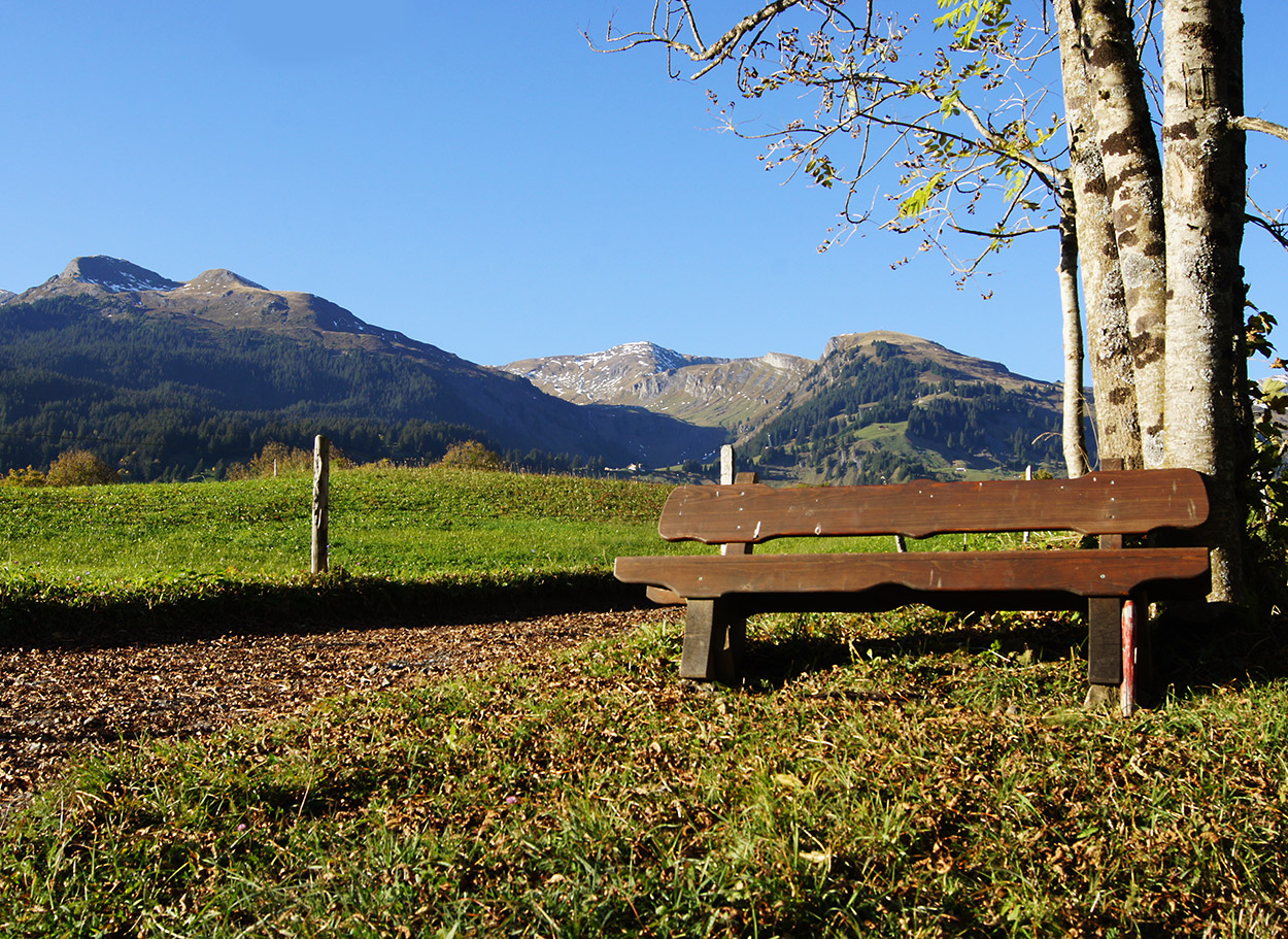 Herbsttag in Grindelwald