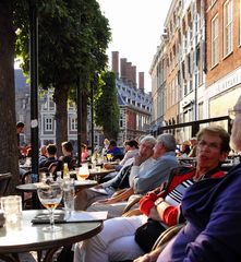 Herbsttag in Haarlem