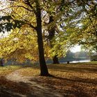 Herbsttag in Pillnitz