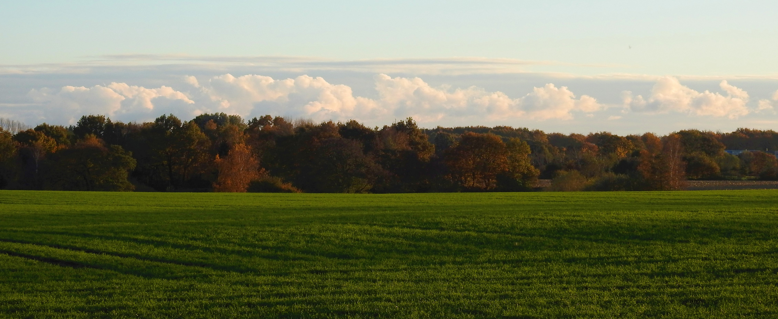 Herbsttag in Schleswig - Holstein