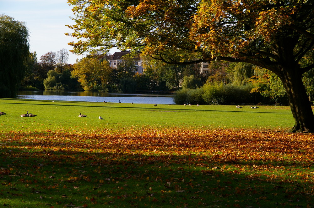 Herbsttag Kiel