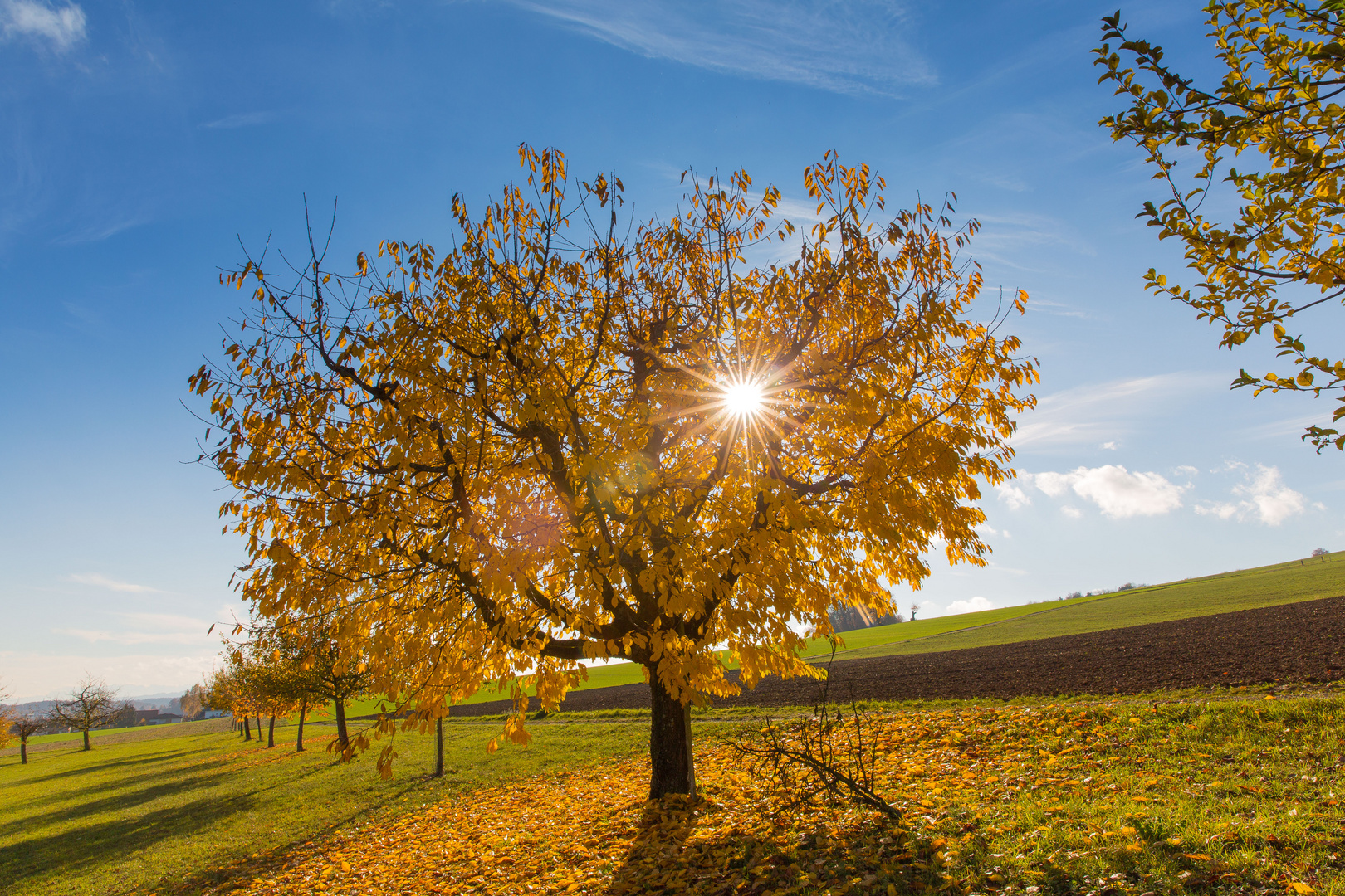 Herbsttag mit Frühlingstemperaturen