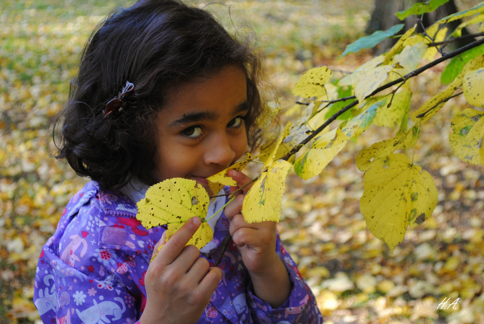 Herbsttag mit Josefine