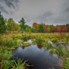 Herbsttag on the Road auf Nova Scotia