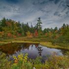 Herbsttag on the Road auf Nova Scotia