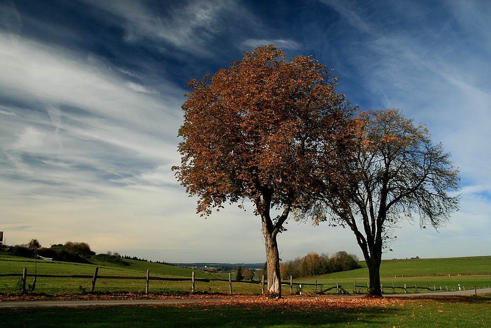 Herbsttag Original