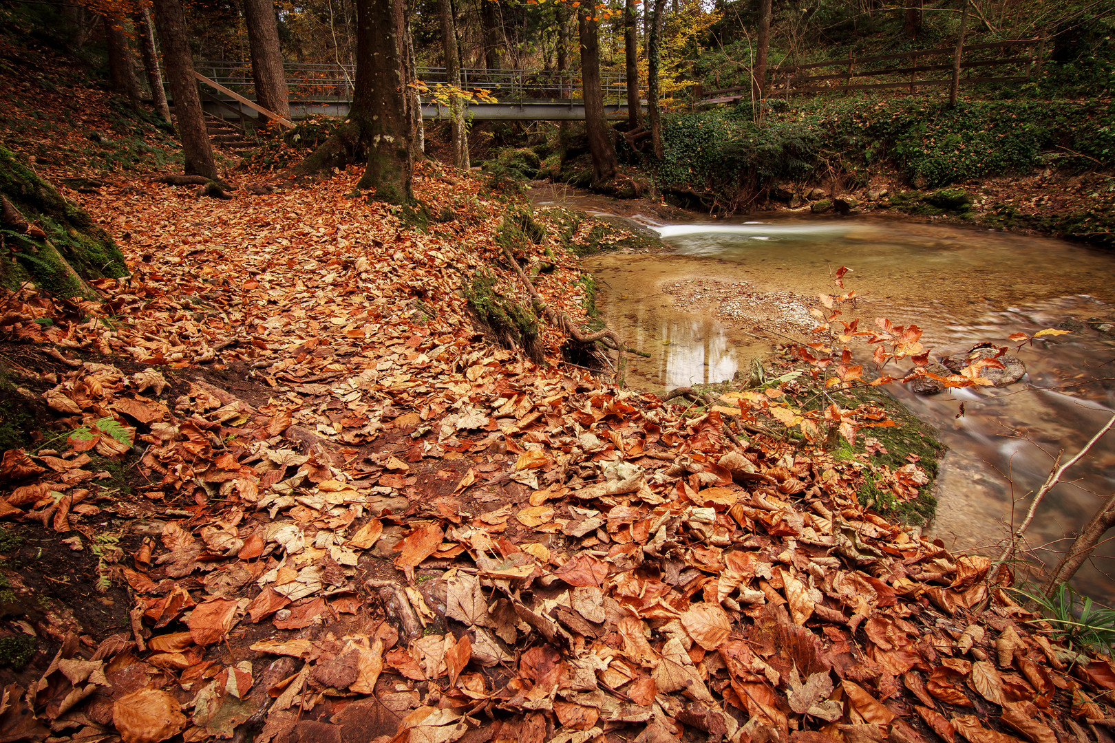 Herbsttag Pt. I