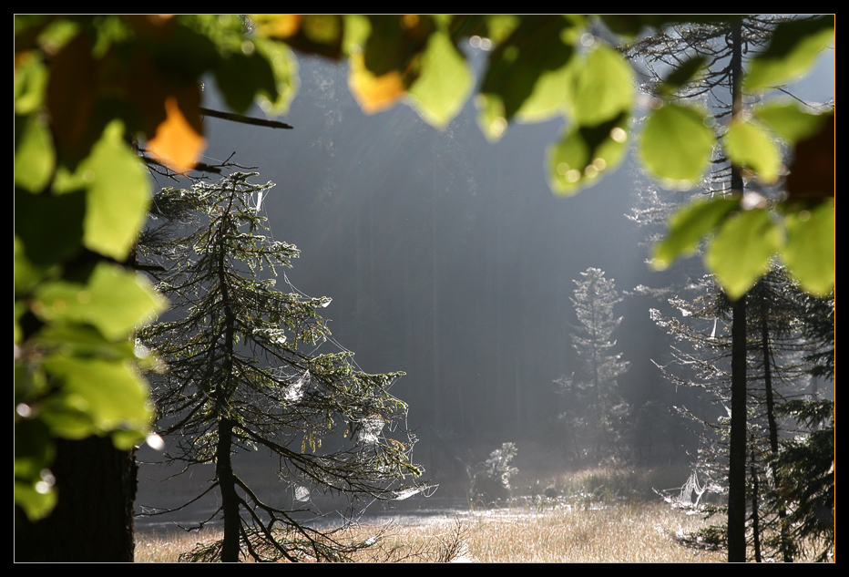 Herbsttage