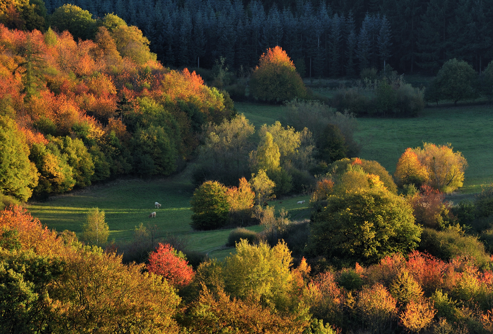 *Herbsttage*