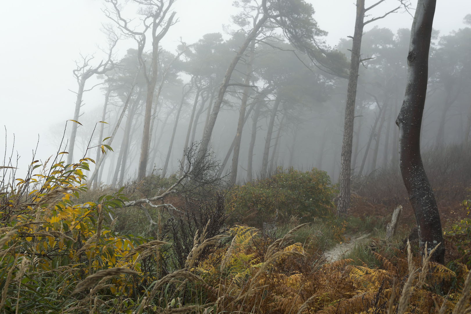 Herbsttage