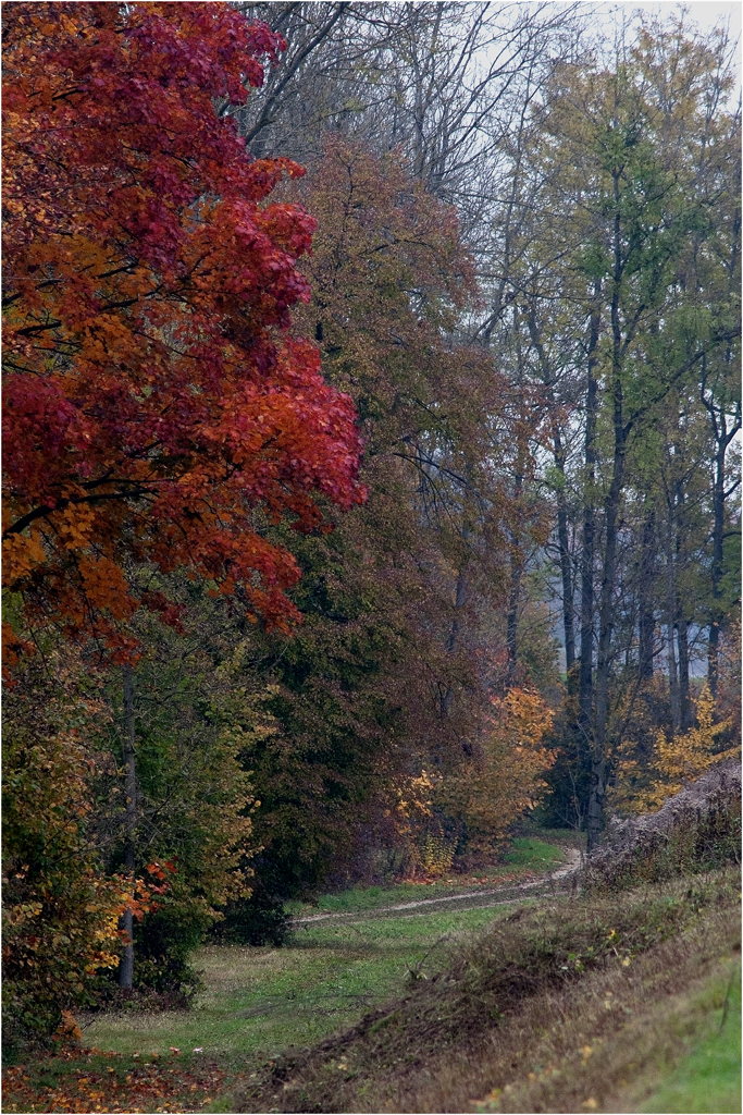 Herbsttage