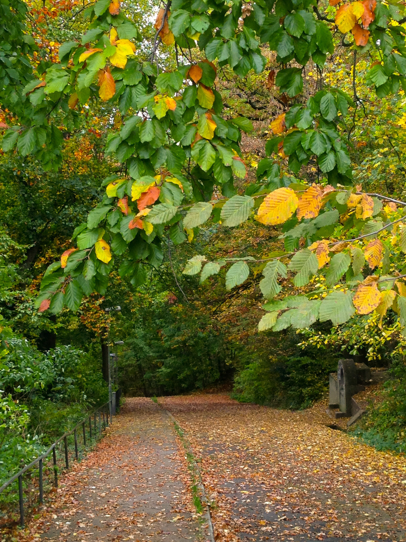 Herbsttage