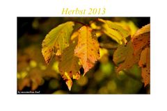 Herbsttage