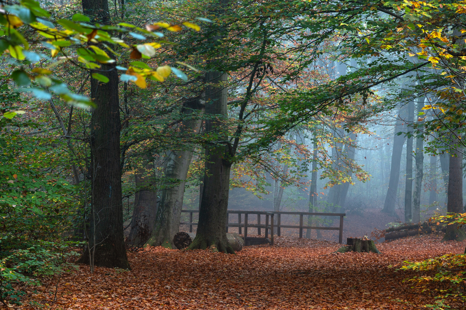 Herbsttage