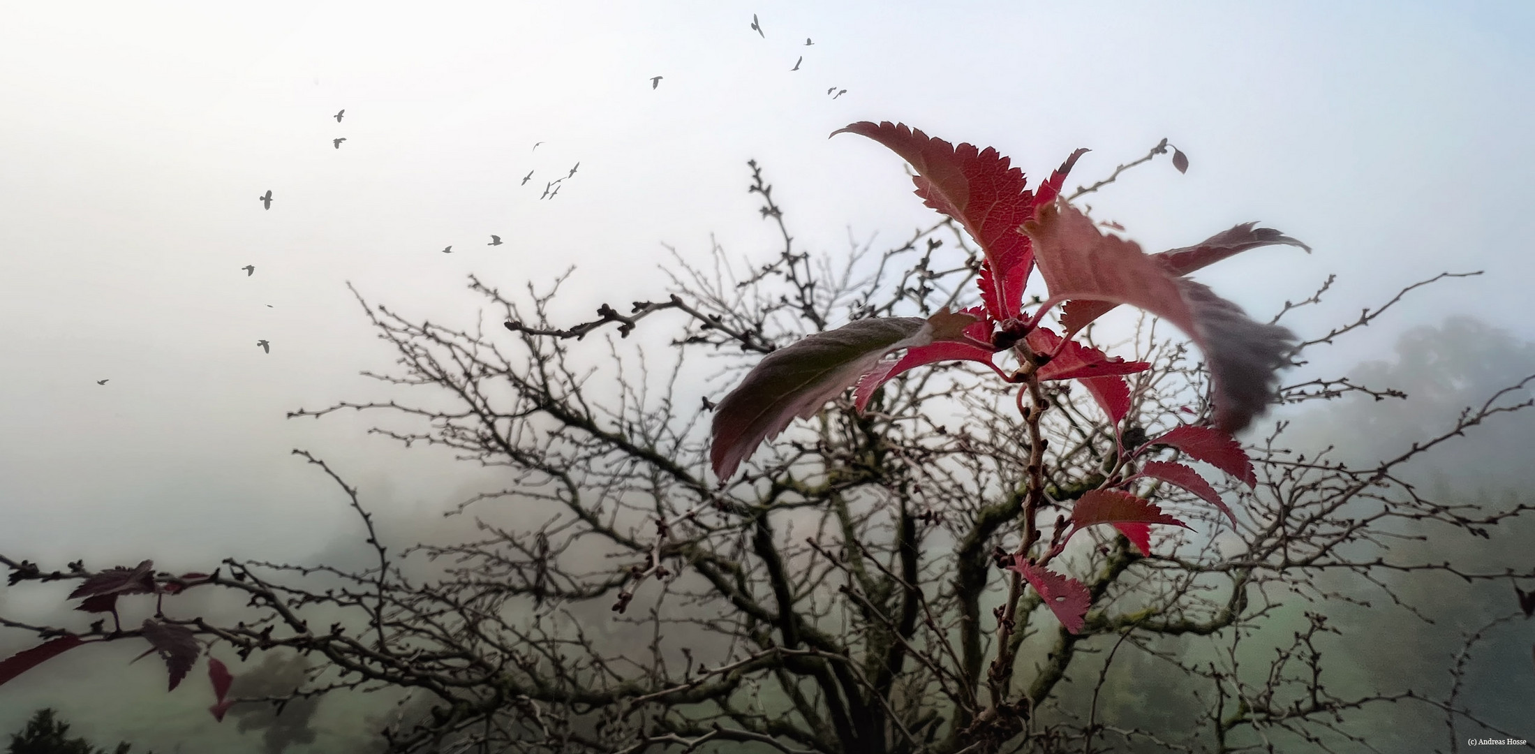 Herbsttage