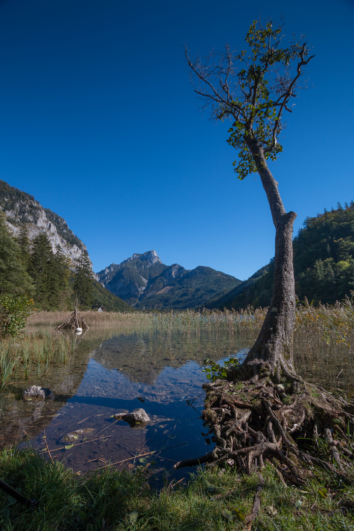 Herbsttage am Leopoldsteinersee 2