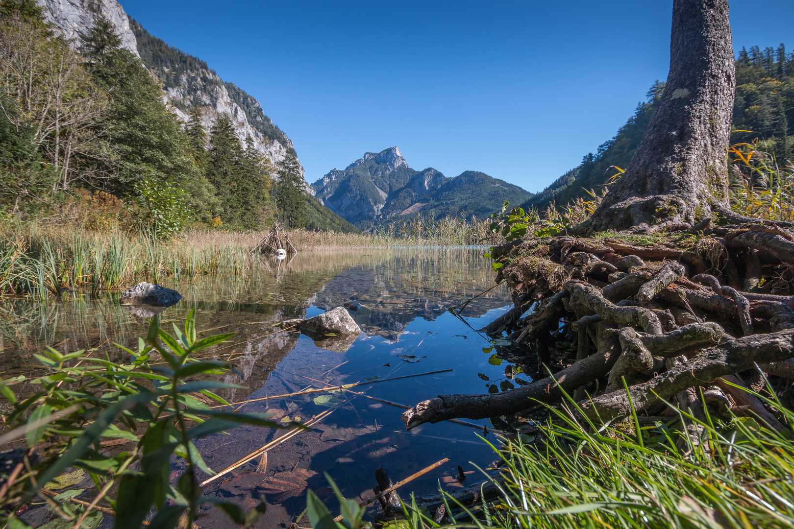 Herbsttage am Leopoldsteinersee