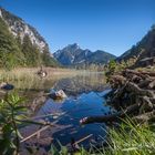 Herbsttage am Leopoldsteinersee