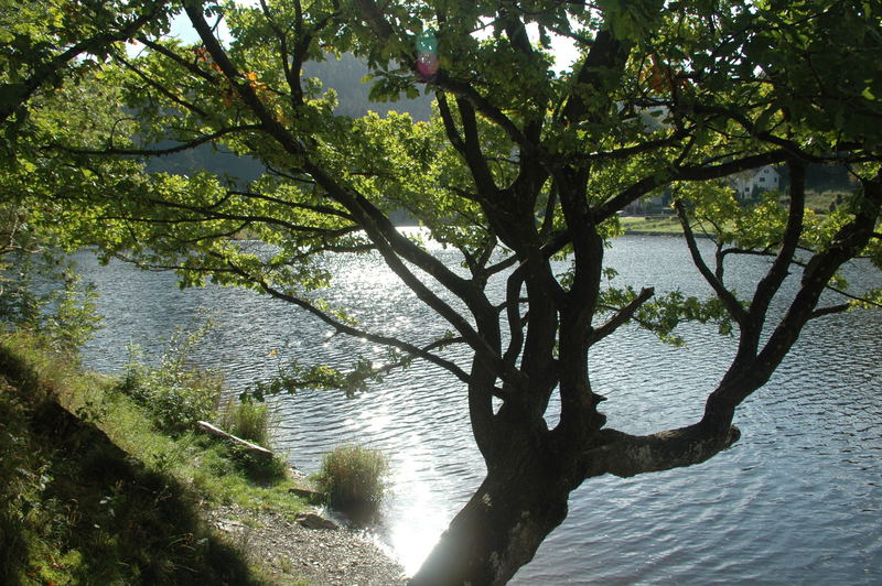 Herbsttage am Rursee