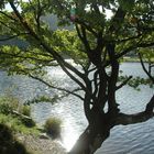 Herbsttage am Rursee