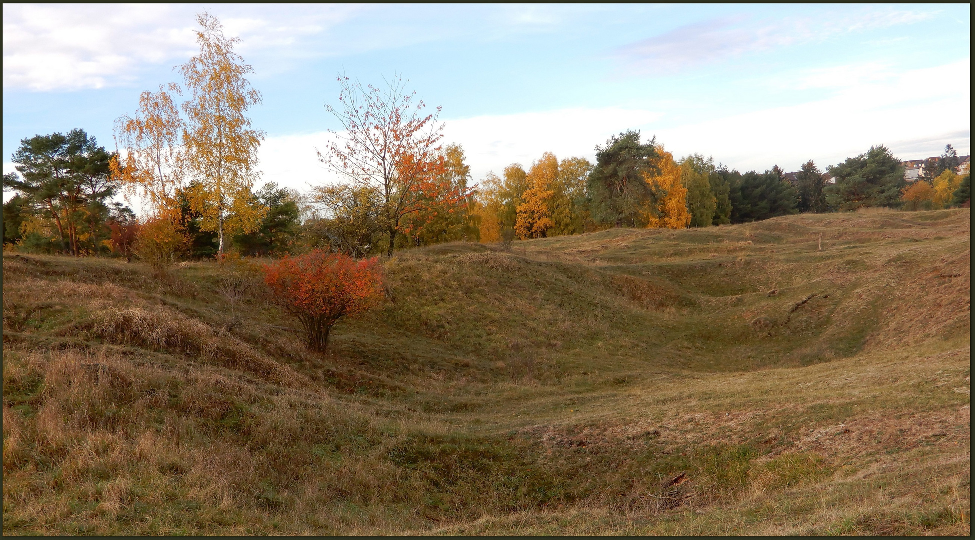 Herbsttage am Schlangenberg