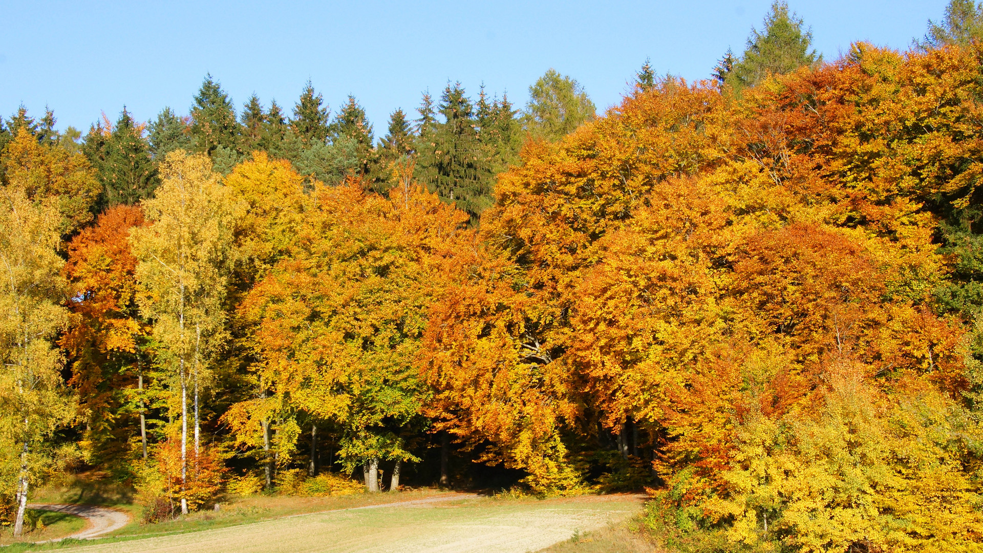 Herbsttage am See