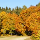 Herbsttage am See