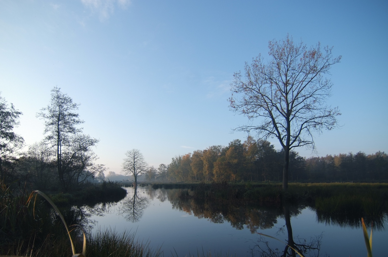 Herbsttage an der Nette 2011