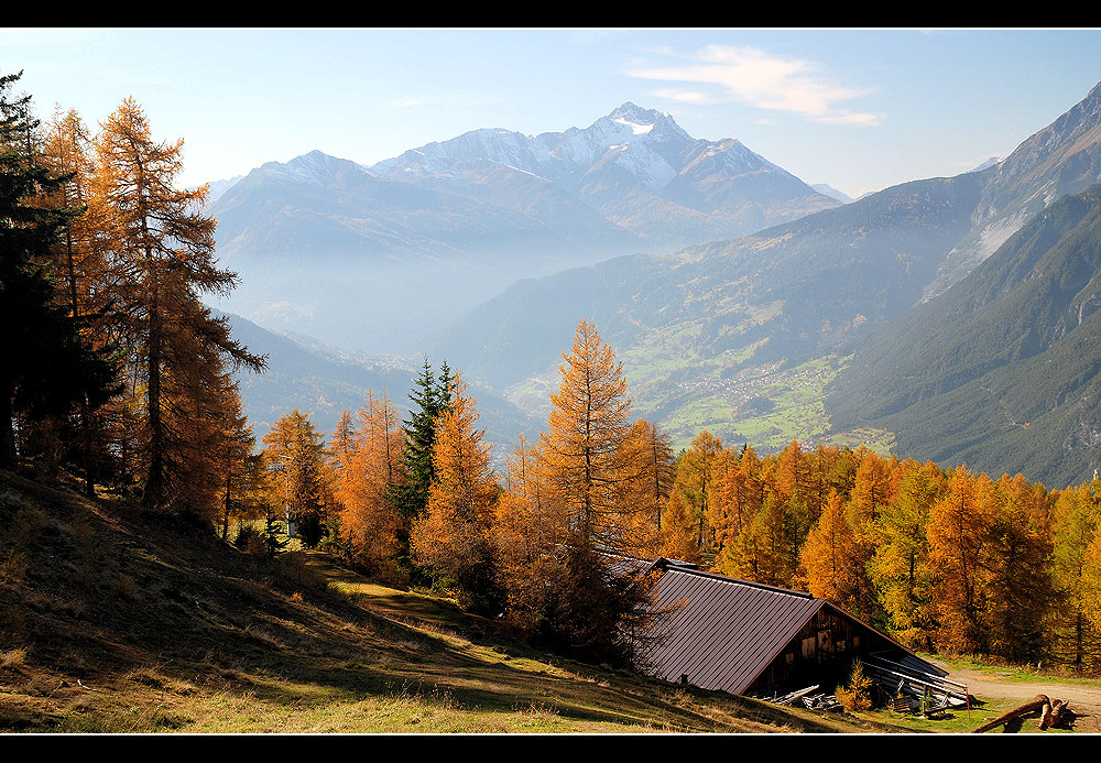 ~~~ Herbsttage III ~~~