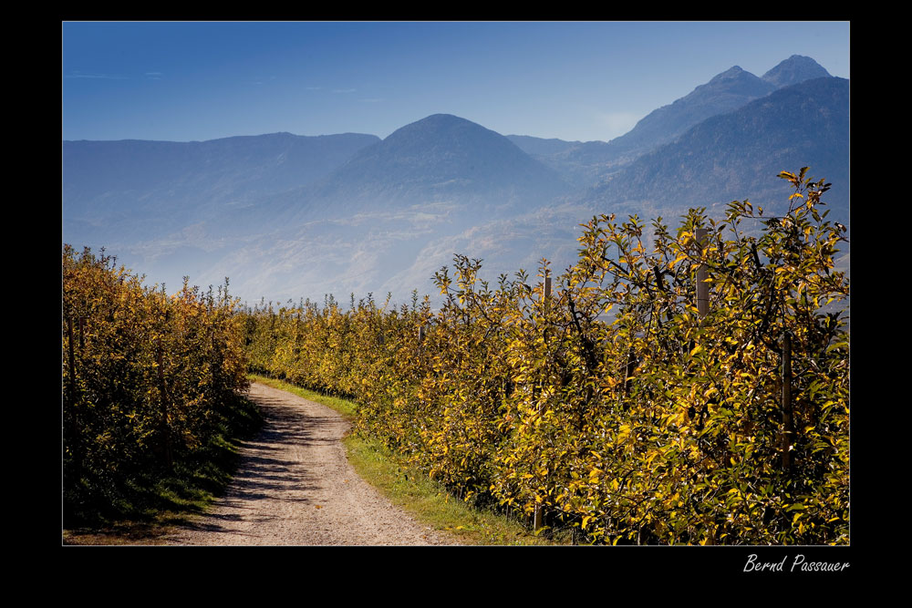 Herbsttage in Südtirol_02