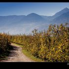 Herbsttage in Südtirol_02