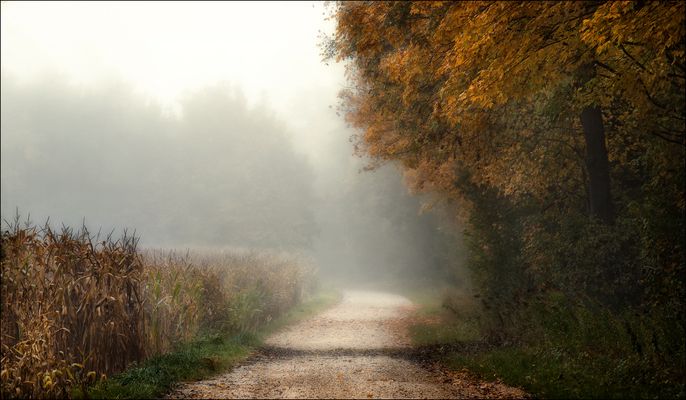 Herbsttage wie diese....