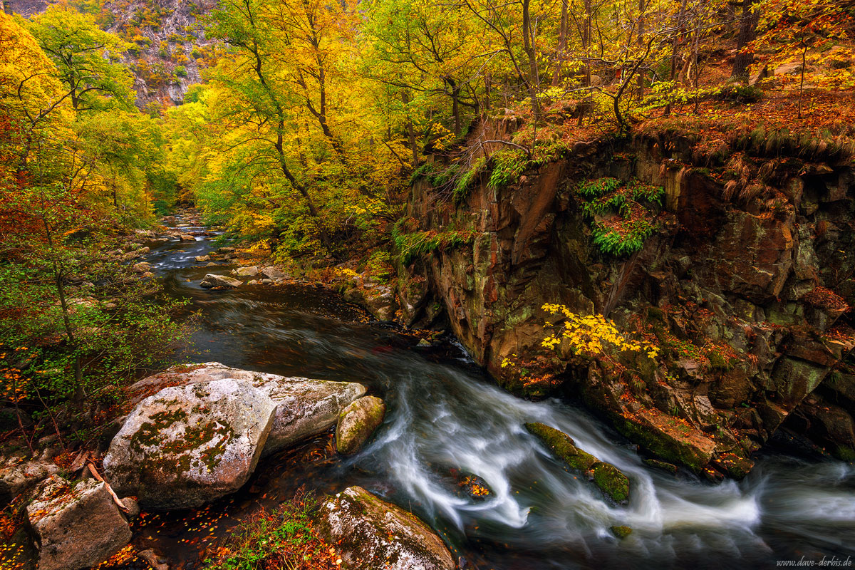 Herbsttal im Harz