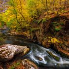 Herbsttal im Harz