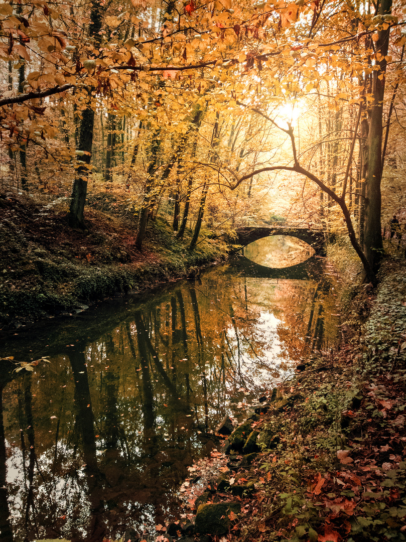 Herbst.Tal.Brücke