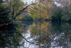 Herbstteich